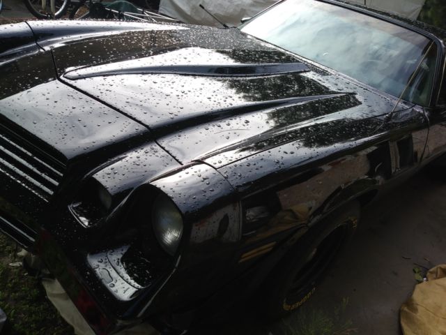 1980 Chevrolet Camaro - photo 2