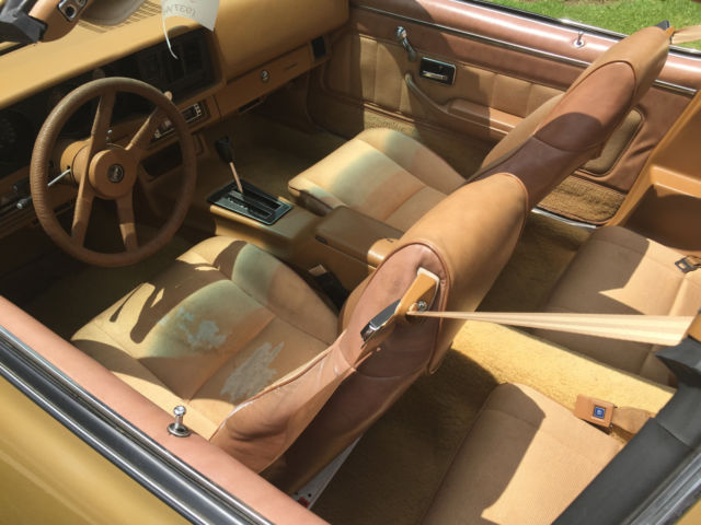 1980 Chevrolet Camaro Z28 - photo 10