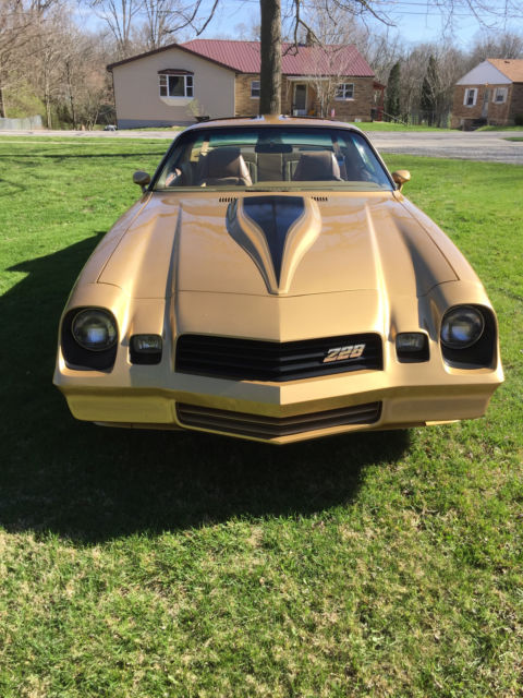 1980 Chevrolet Camaro Z28 - photo 3