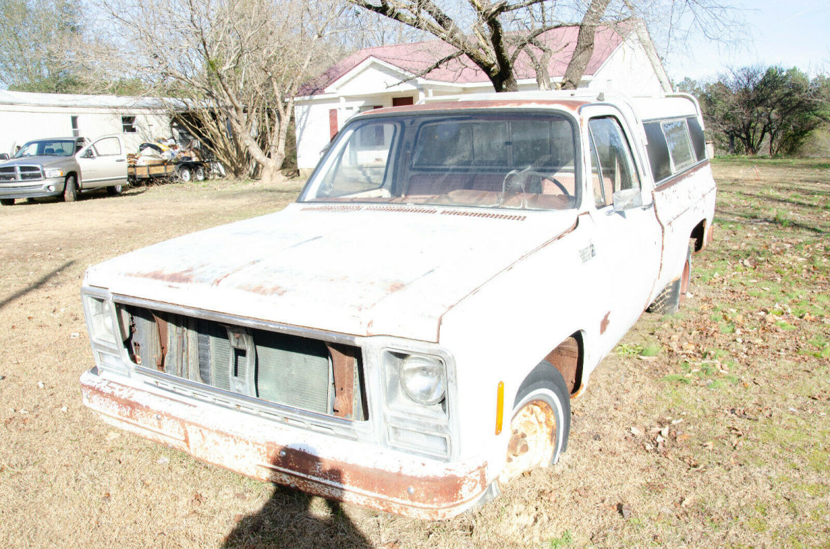 1980 Chevorlet Pickup Truck Custom 10 deluxe 1980 Chevrolet C-10