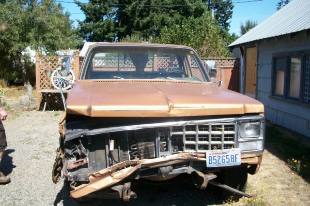 1980 Chevrolet Other Pickups - photo 10