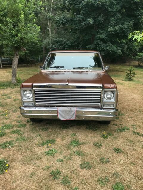 1980 Chevrolet C10 Scottsdale 1980 Chevrolet Other Pickups