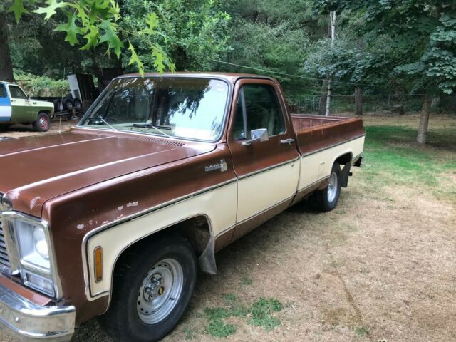 1980 Chevrolet Other Pickups - photo 2