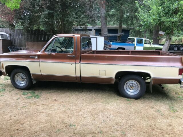 1980 Chevrolet Other Pickups - photo 3