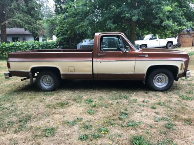 1980 Chevrolet Other Pickups - photo 5