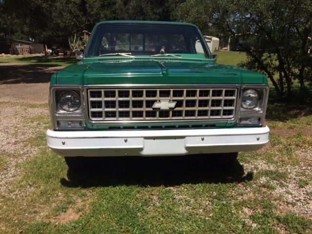 1980 Chevrolet C-10 Custom Deluxe - photo 3