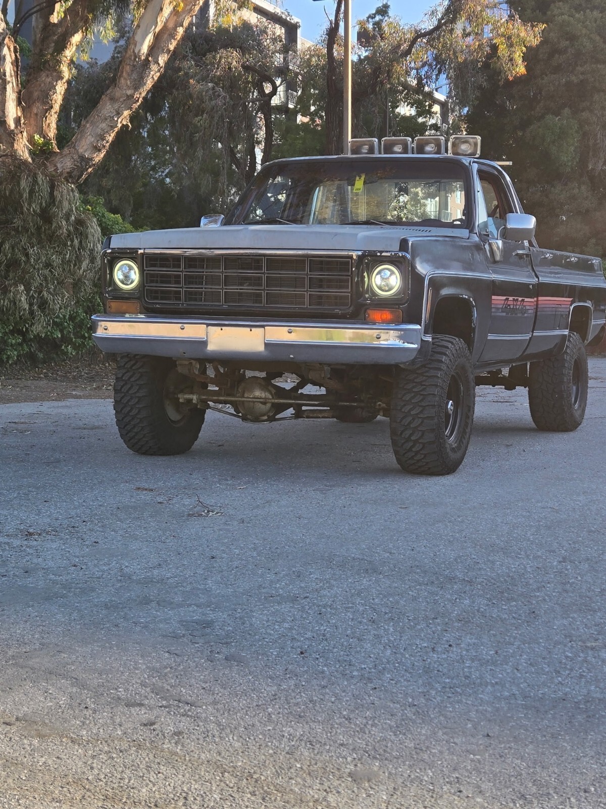 1980 Chevrolet C10/K10 - photo 3