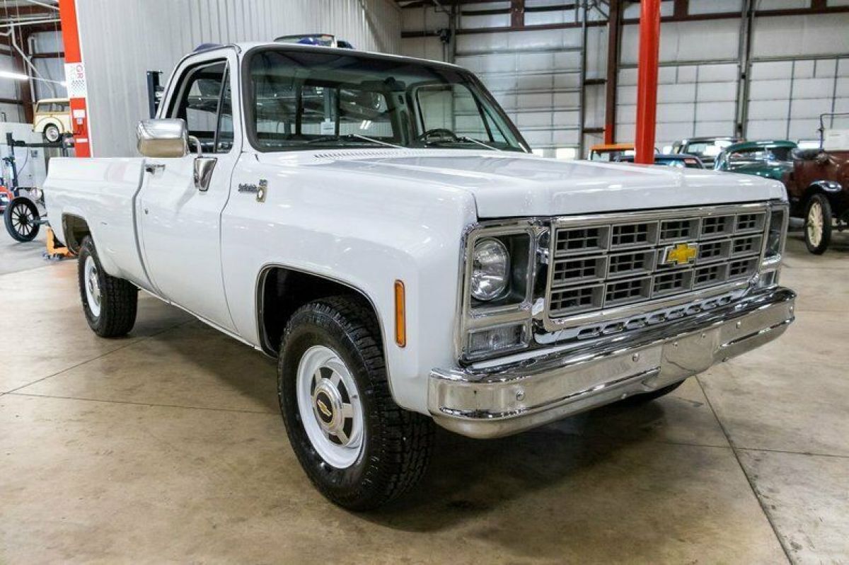 1980 Chevrolet Other Pickups - photo 7
