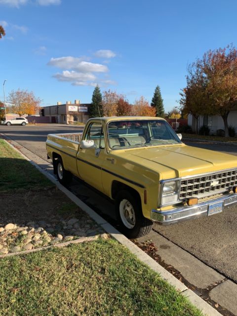 1980 Chevrolet C-10 - photo 2