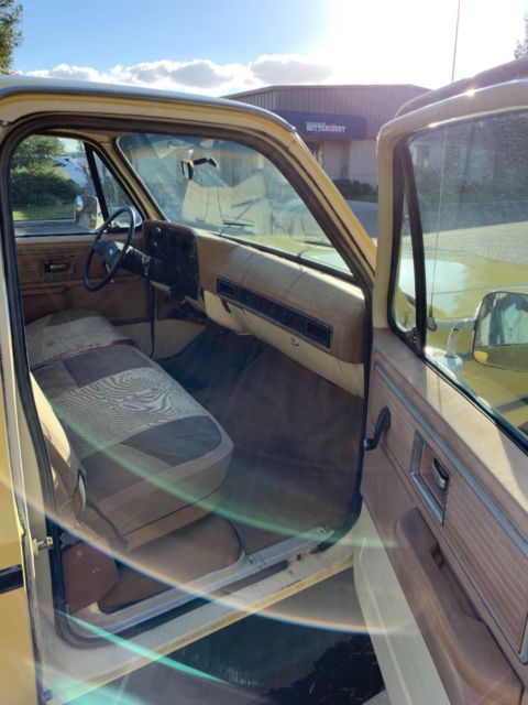 1980 Chevrolet C-10 - photo 6