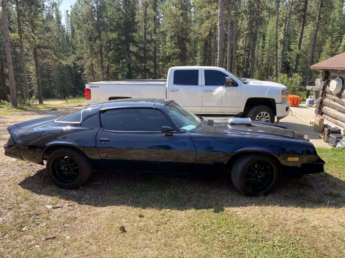 1980 Chevrolet Camaro Berlinetta - photo 4
