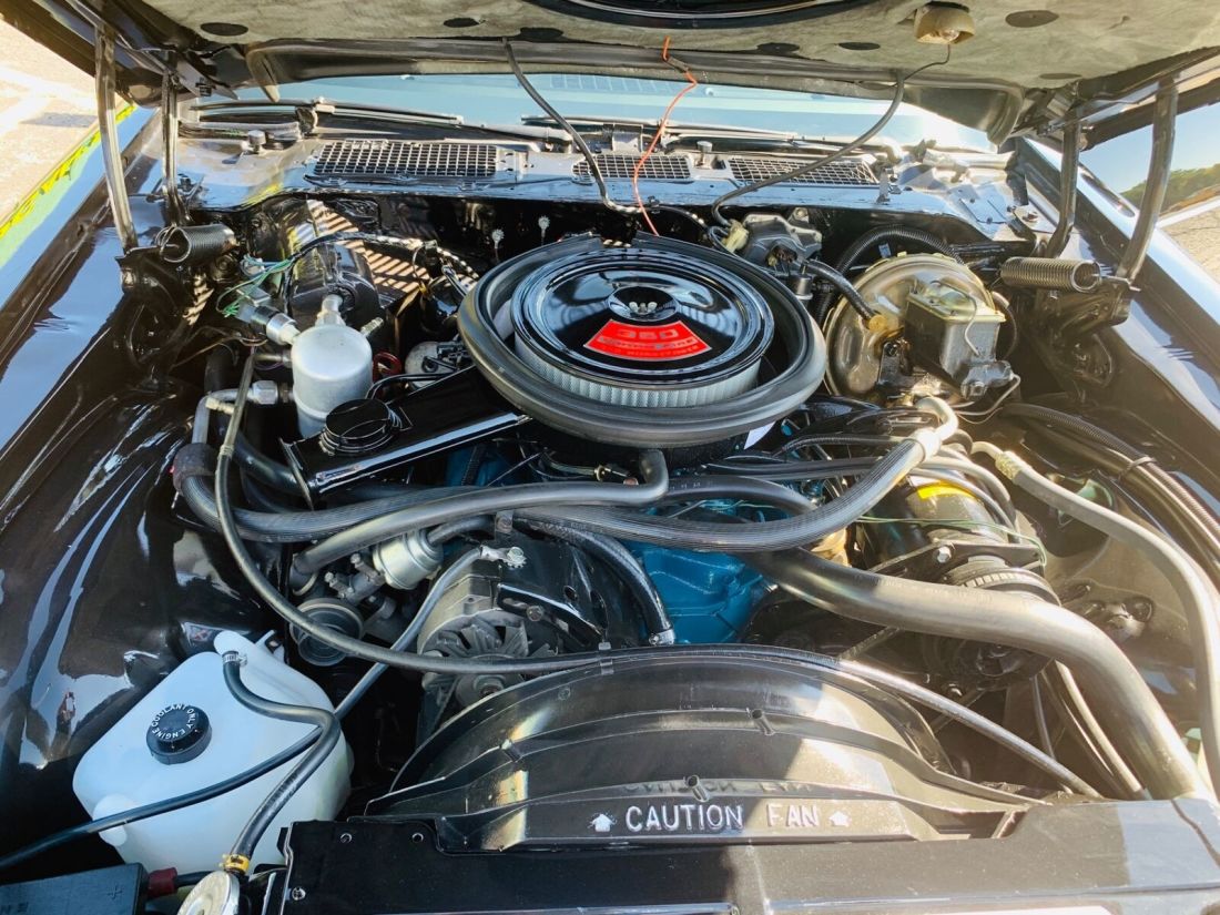 1980 Chevrolet Camaro - Z/28 - VERY LOW MILES - SHOW QUALITY - - photo 4