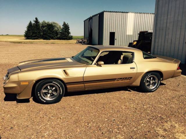 1980 Chevrolet Camaro
