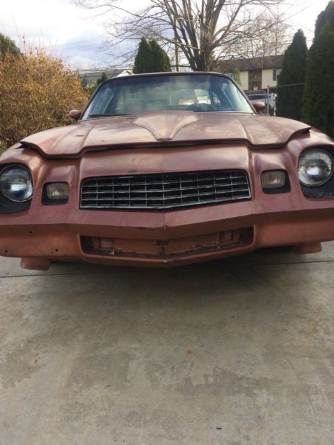 1980 Chevrolet Camaro Z28 - photo 3