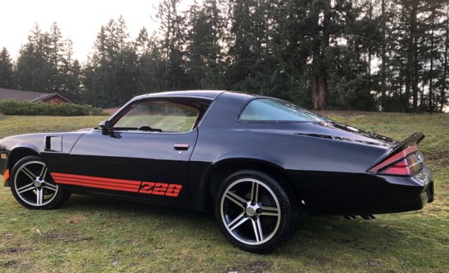 1980 Chevrolet Camaro Z28 - photo 5