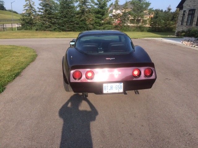 1980 Chevrolet Corvette Base Coupe 2-Door - photo 10