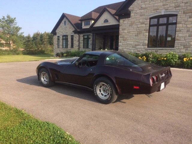 1980 Chevrolet Corvette Base Coupe 2-Door - photo 2
