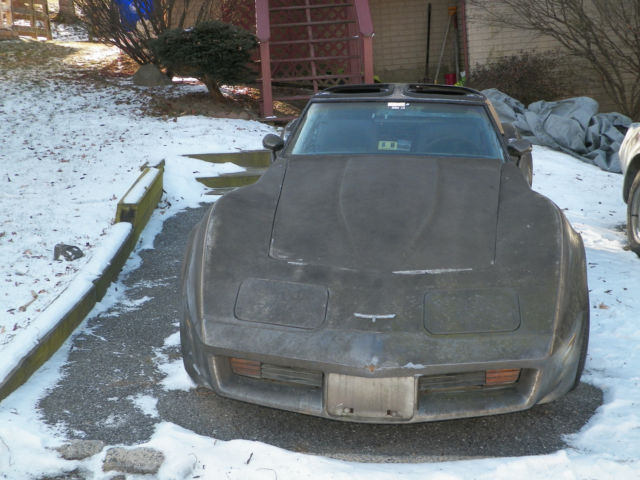 1980 Chevrolet Corvette - photo 3