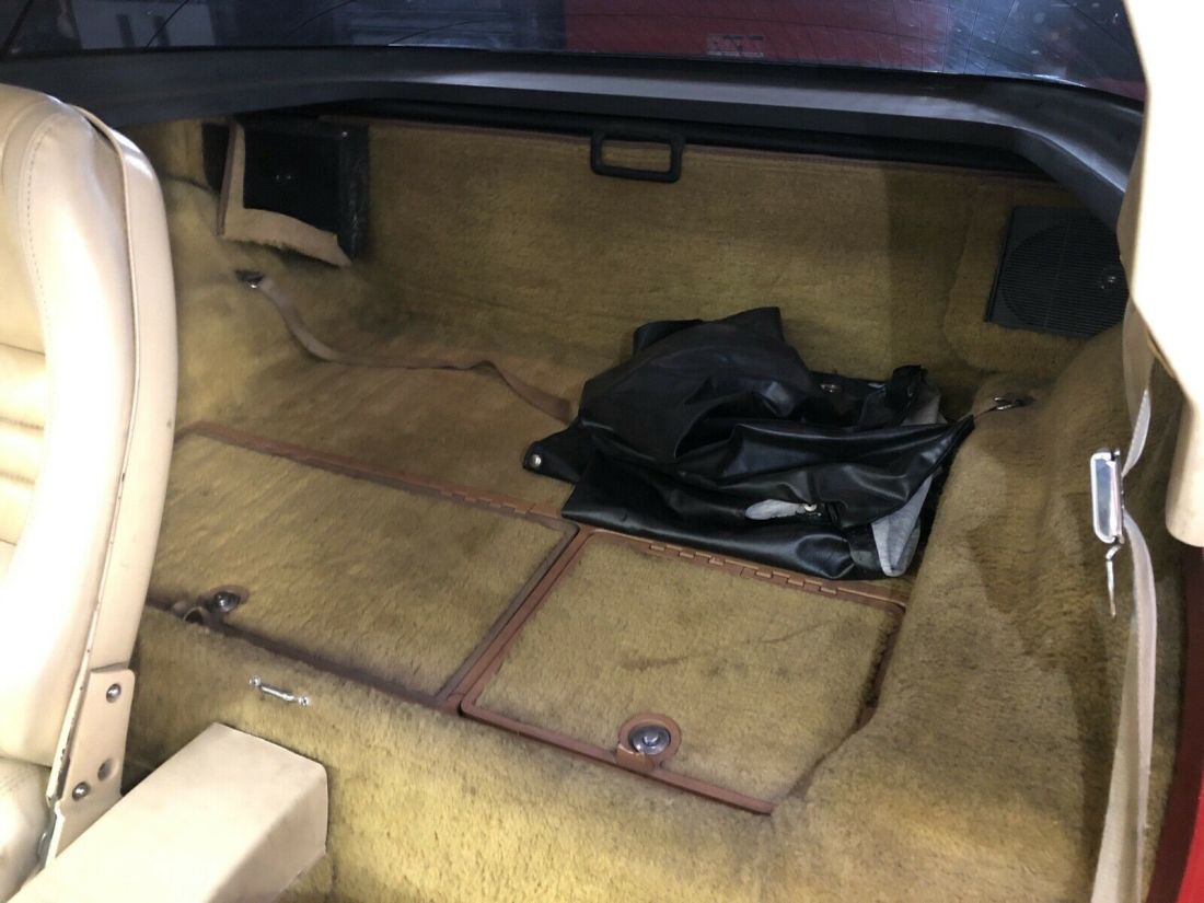 1980 Chevrolet Corvette C3 leather/vinyl - photo 10