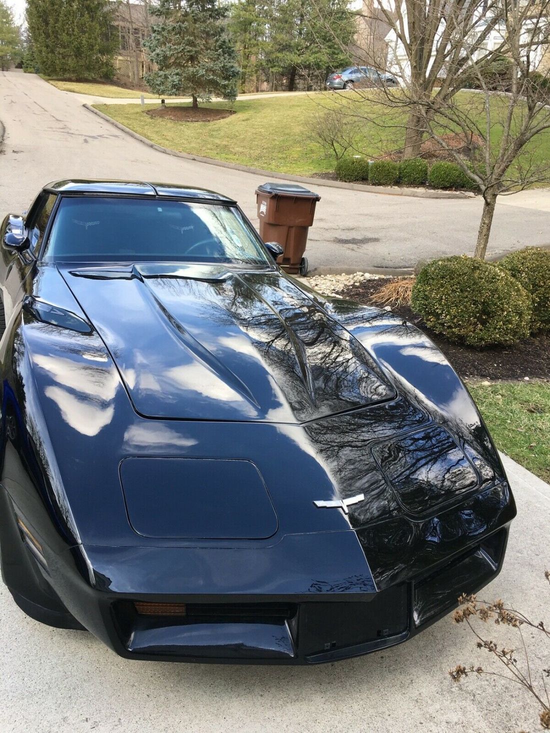 1980 Chevrolet Corvette black - photo 9