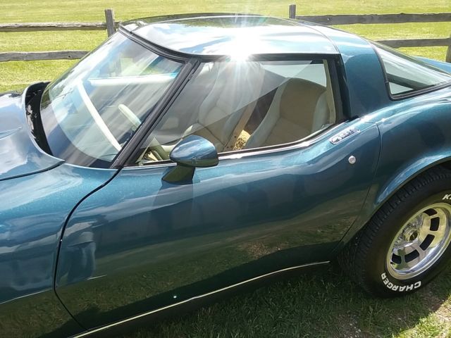 1980 Chevrolet Corvette Coupe - photo 10