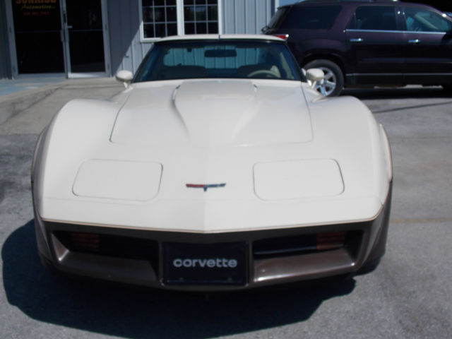 1980 Chevrolet Corvette L-48 4-Speed Rear Hatch - photo 2