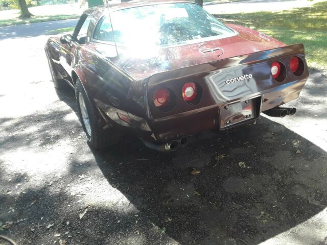 1980 Chevrolet Corvette L-48 - photo 6