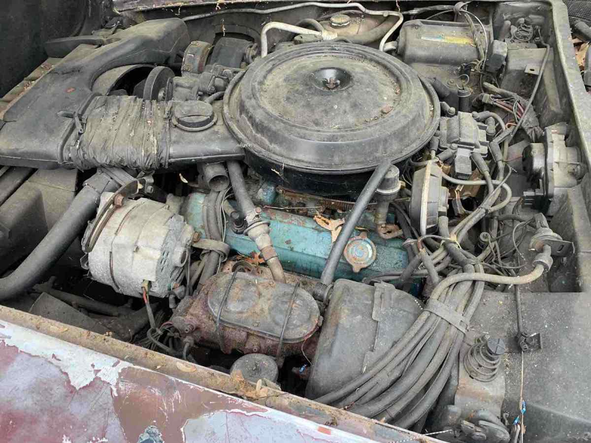 1980 Chevrolet Corvette - photo 11