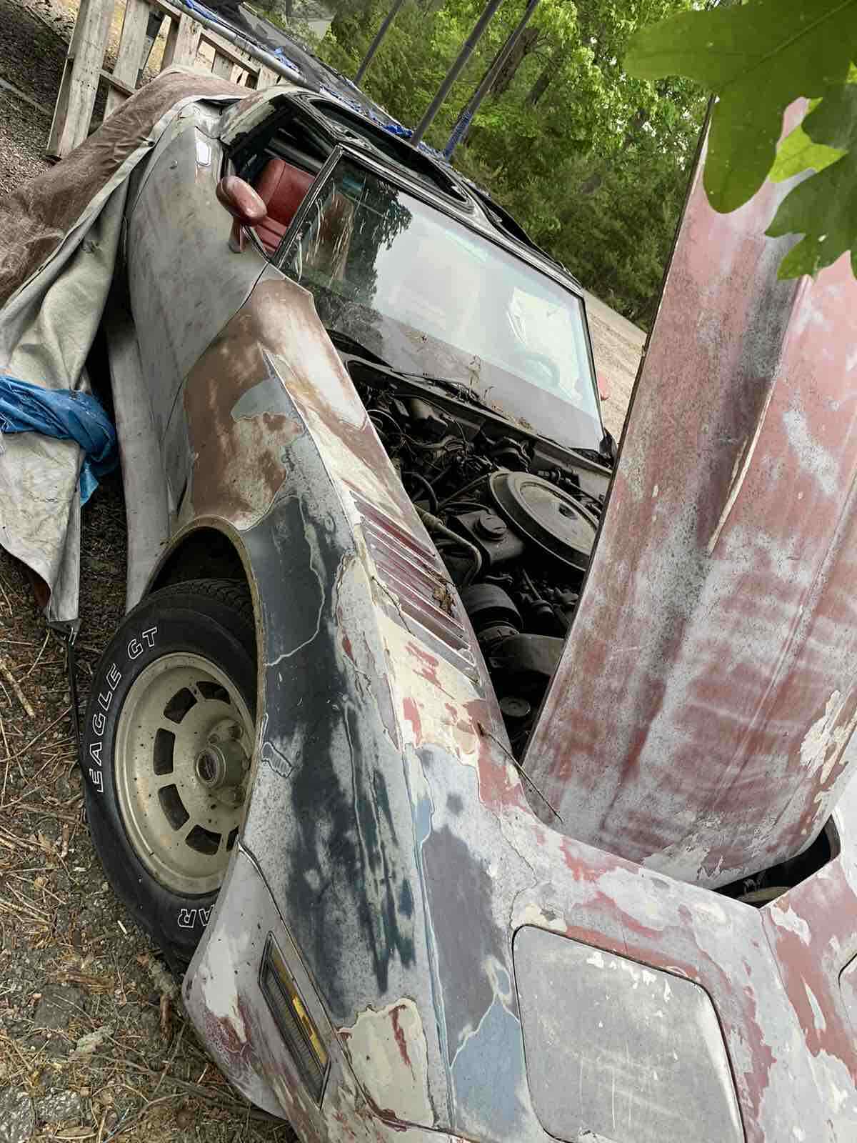 1980 Chevrolet Corvette - photo 3