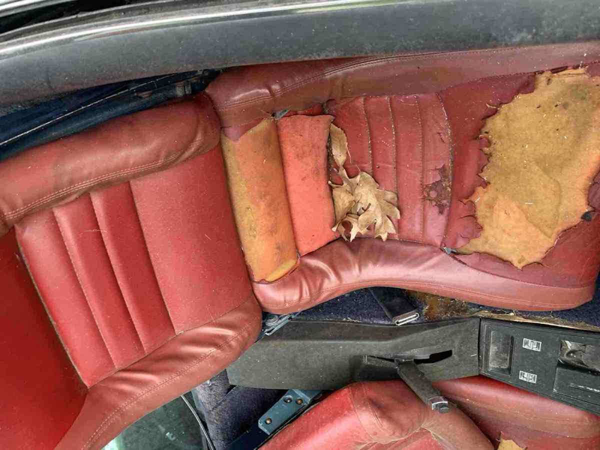 1980 Chevrolet Corvette - photo 6