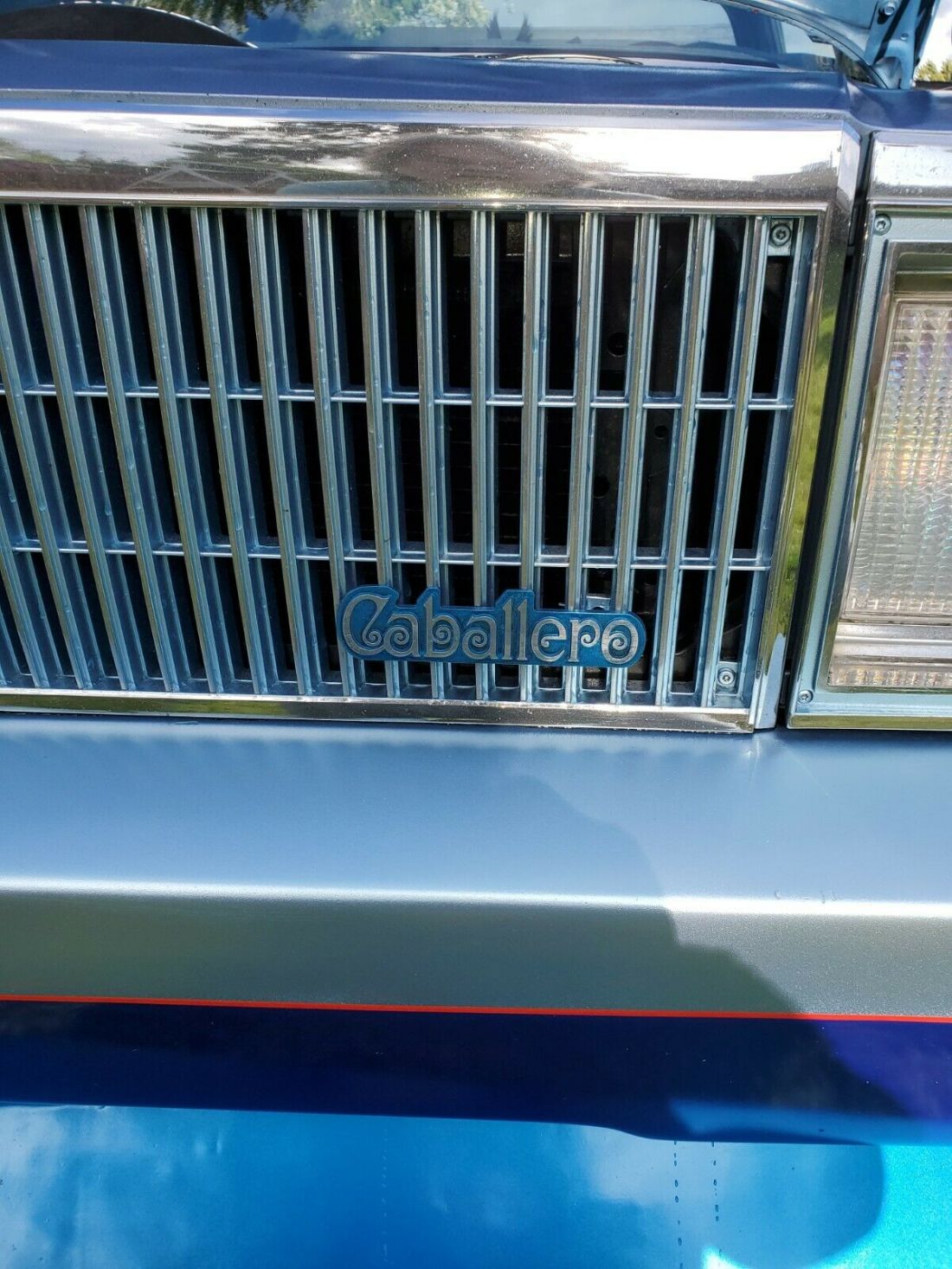 1980 Chevrolet El Camino CABALLERO - photo 6