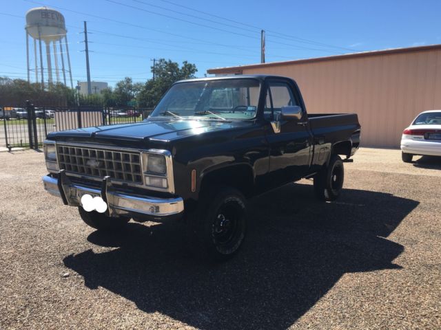 1980 Chevrolet C/K Pickup 1500 - photo 2