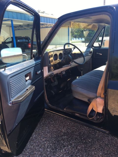 1980 Chevrolet C/K Pickup 1500 - photo 4