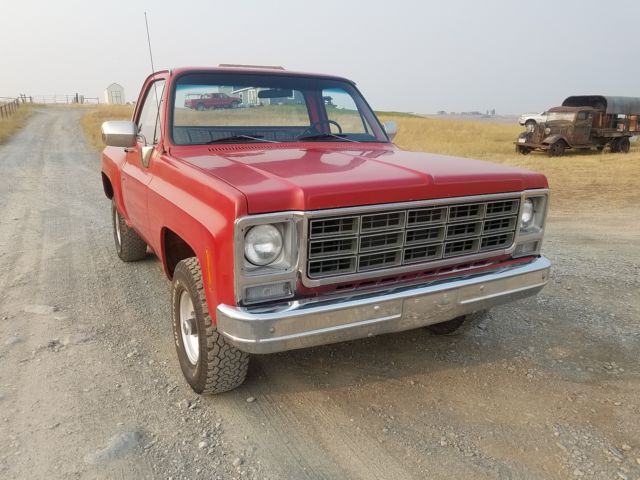 1980 Chevrolet C/K Pickup 1500 Stepside 4x4 - photo 3