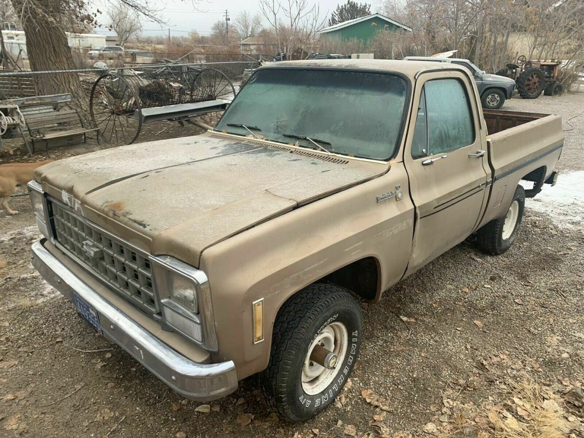 1980 Chevrolet K1002 Scottsdale - photo 2