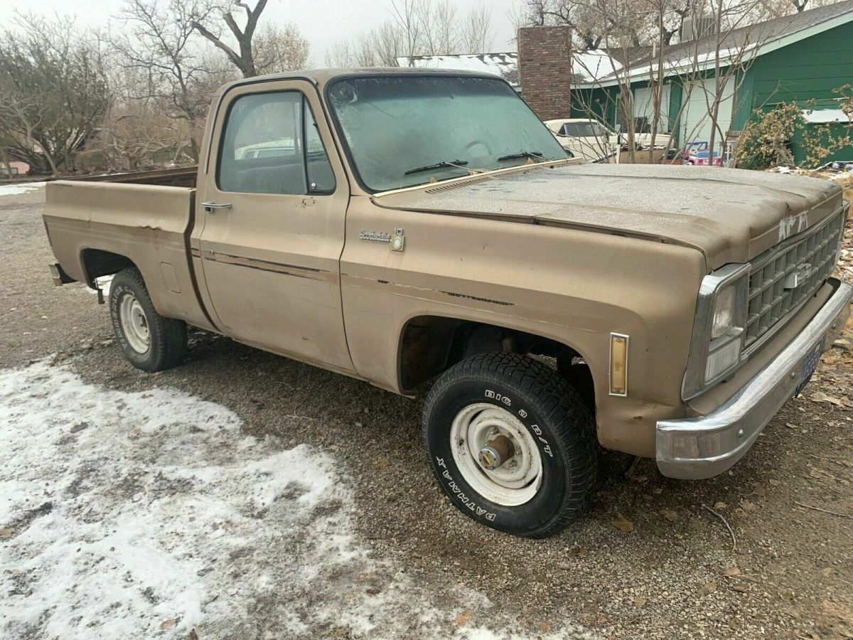 1980 Chevrolet K1002 Scottsdale - photo 3