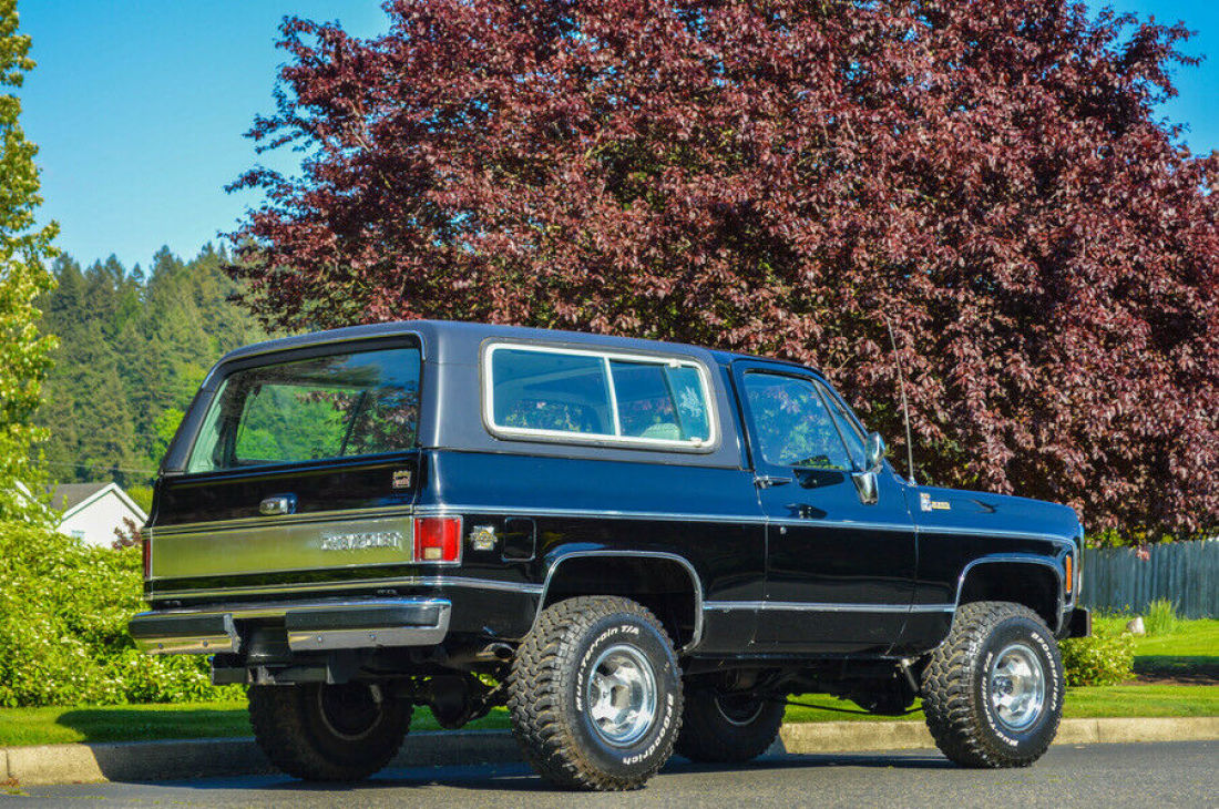 1980 Chevrolet Blazer K5 SILVERADO PACKAGE/TRAILERING SPECIAL - photo 10