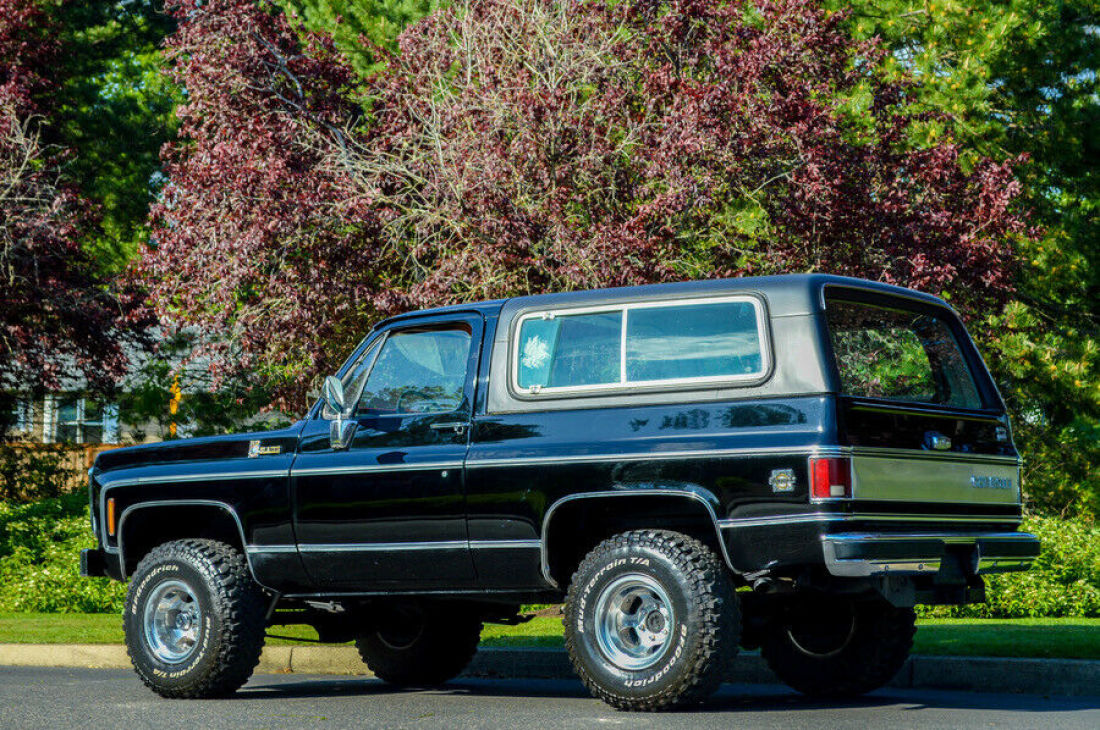 1980 Chevrolet Blazer K5 SILVERADO PACKAGE/TRAILERING SPECIAL - photo 4