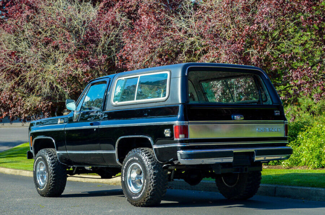 1980 Chevrolet Blazer K5 SILVERADO PACKAGE/TRAILERING SPECIAL - photo 5