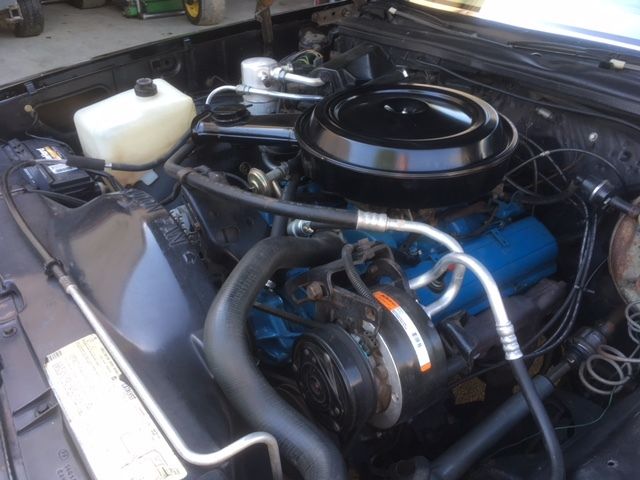 1980 Chevrolet Malibu Classic Sport - photo 8