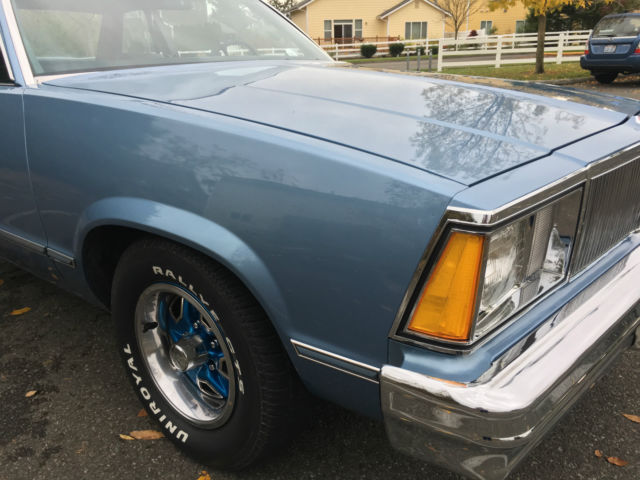 1980 Chevrolet Malibu Sport Coupe 2-Door - photo 13