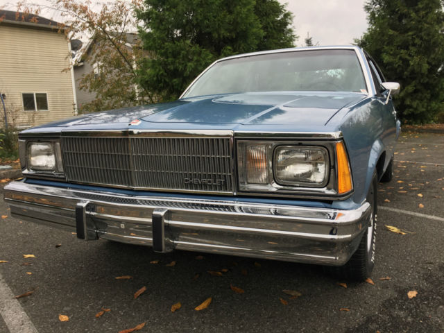 1980 Chevrolet Malibu Sport Coupe 2-Door - photo 7