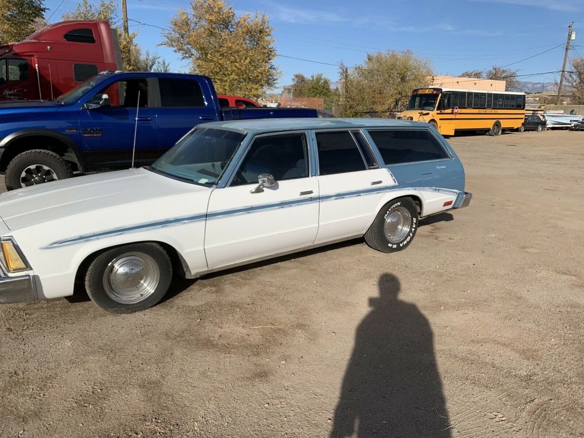 1980 Chevrolet Malibu - photo 6