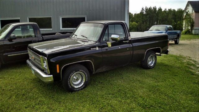 1980 Chevrolet Shortbox 2 Wheel Drive with a 350 TBI V8 New 700R4, Rust Free!!! 1980 Chevrolet C-10