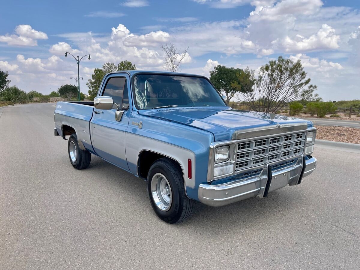 1980 Chevrolet Silverado 1500 C10 Big 10 - photo 2