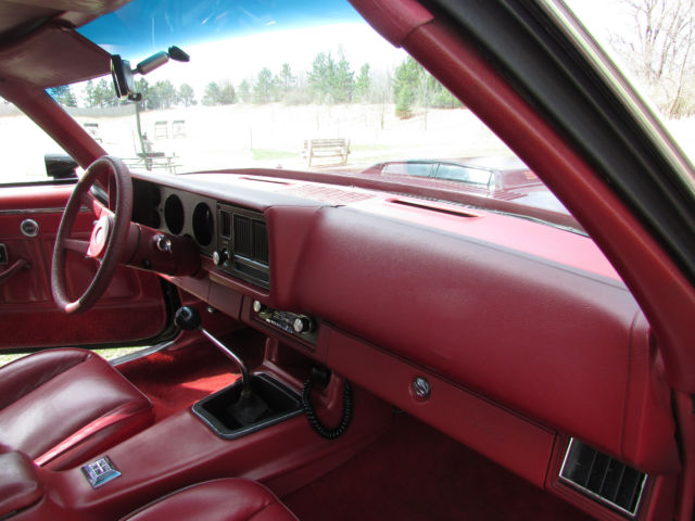 1980 Chevrolet Camaro Z28 - photo 11