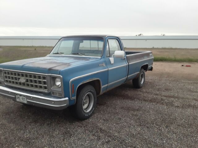 1980 Chevrolet C-10 scottsdale - photo 2