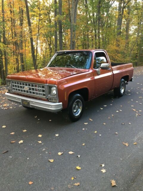 1980 chevy c10 rcsb original straight 6 cyl 3 speed on the floor!! Nice truck 1980 Chevrolet C-10