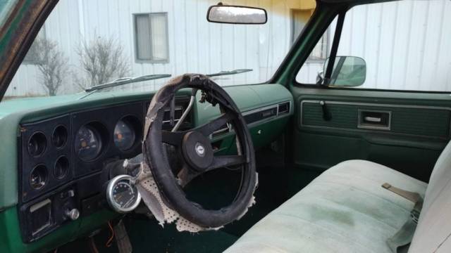 1980 Chevrolet C-10 - photo 7