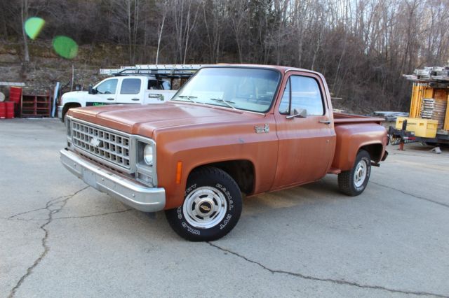 1980 Chevrolet C/K Pickup 1500 Reg Cab - photo 2